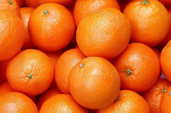 橙是单子叶还是双子叶