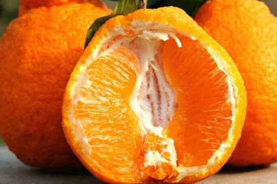 丑橘放放会甜吗