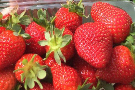 冬天吃草莓是反季节吗