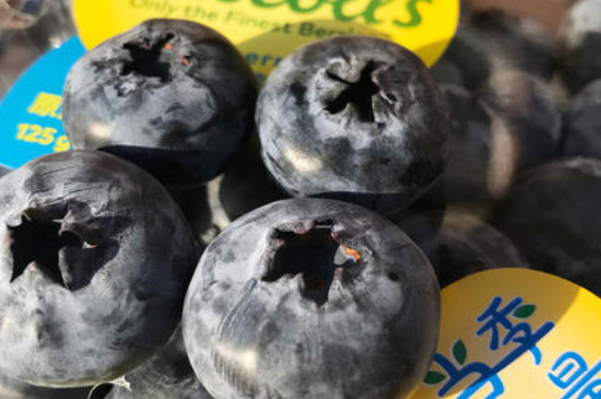 怡颗莓蓝莓是什么品种