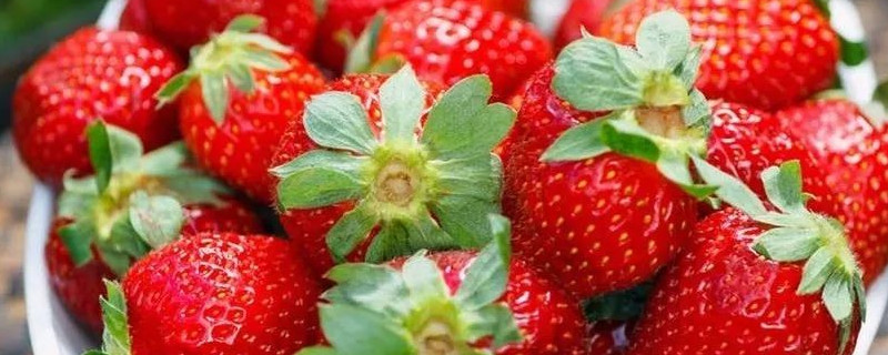 草莓空心是不是打药了