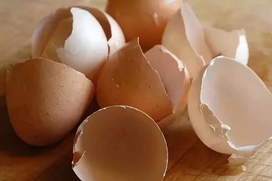 鸡蛋壳能放在菜地种菜吗