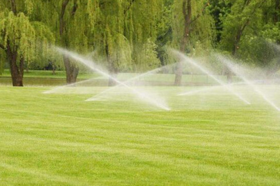 草坪夏天一周浇水几次