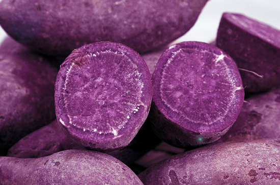 紫薯一年四季都有吗