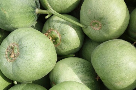 绿色的瓜是什么水果