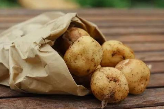 土豆的种植过程4个步骤