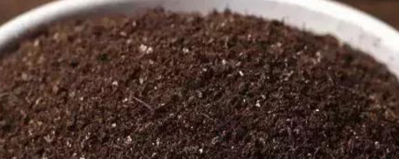 花土怎么制作与发酵