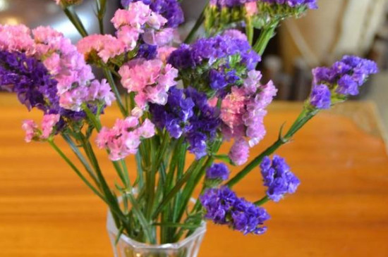 五种插花常用花材及花语