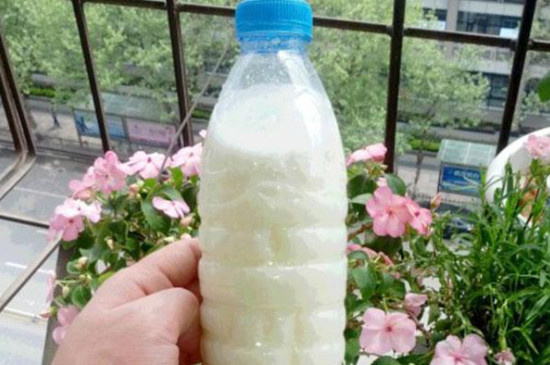 纯牛奶兑水可以浇花吗