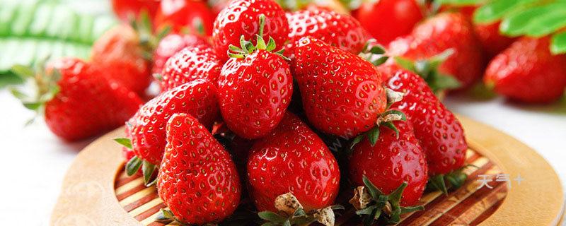 草莓苗怎么种植和浇水施什么肥