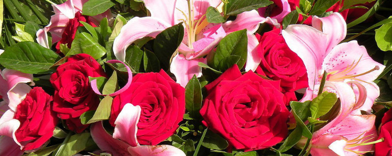 送百合和玫瑰花束代表什么