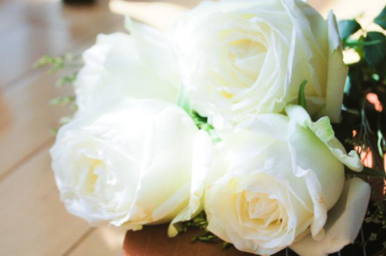 白色玫瑰寓意和花语