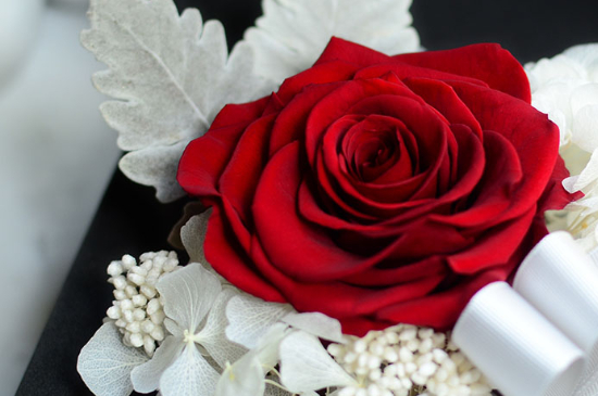 永生玫瑰花的花语是什么