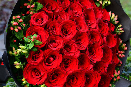 33朵玫瑰花花语和寓意