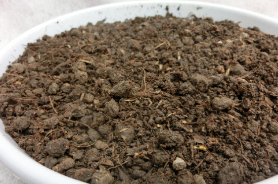 花盆土壤里有小蜈蚣怎么办
