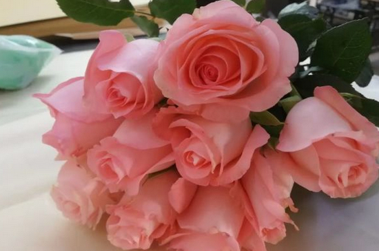 13朵粉色玫瑰花代表什么意思