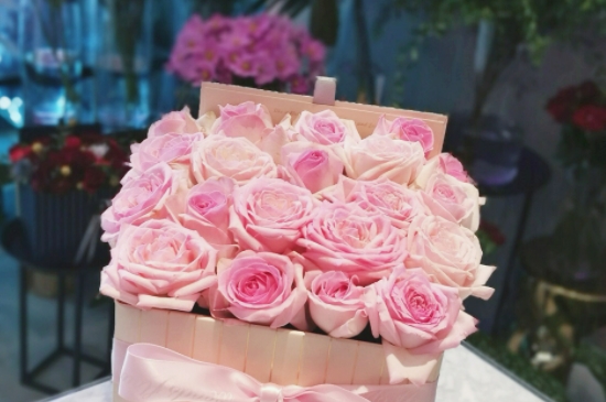 粉玫瑰的花语是什么意思