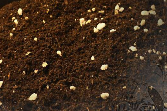 生根粉可以直接撒在土壤里吗