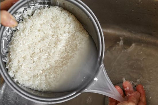 淘米水怎么发酵成花肥