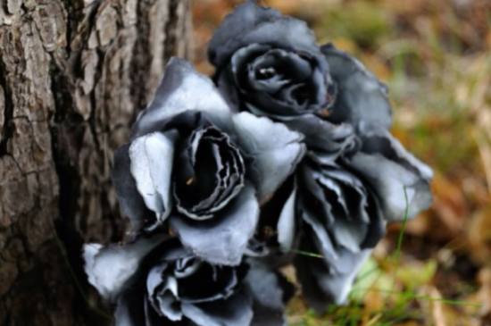 黑玫瑰的寓意和象征