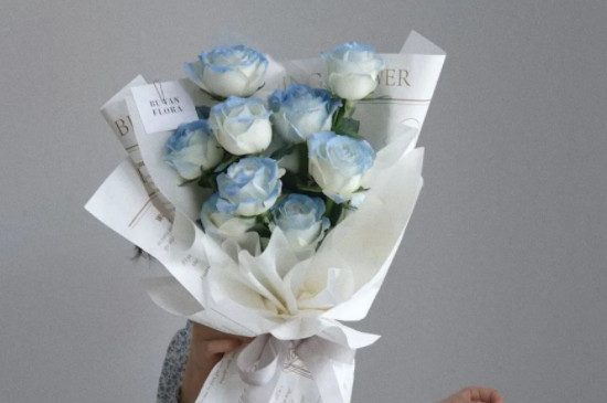白蓝玫瑰花语是什么意思