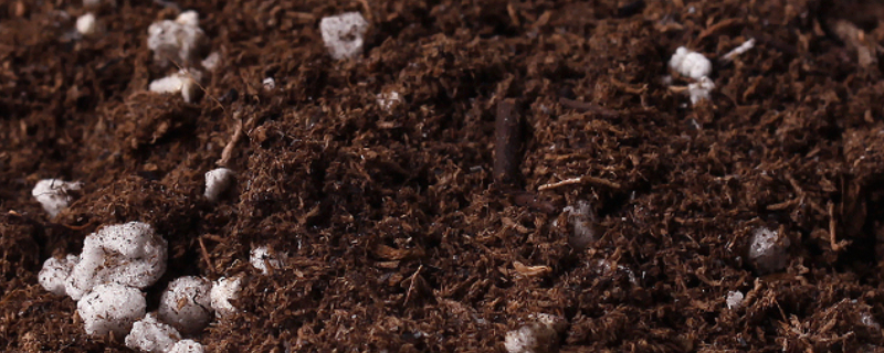 生根粉可以浇土里吗