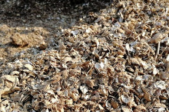 花生壳怎么发酵做营养土