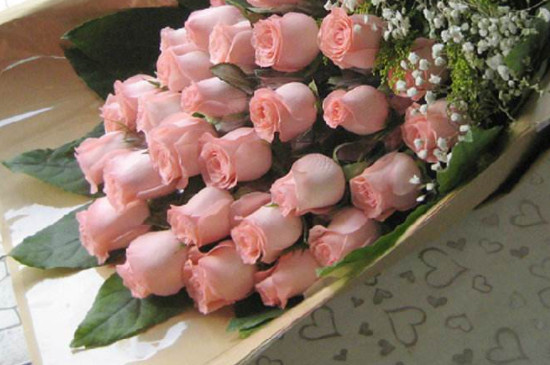 粉玫瑰代表什么花语