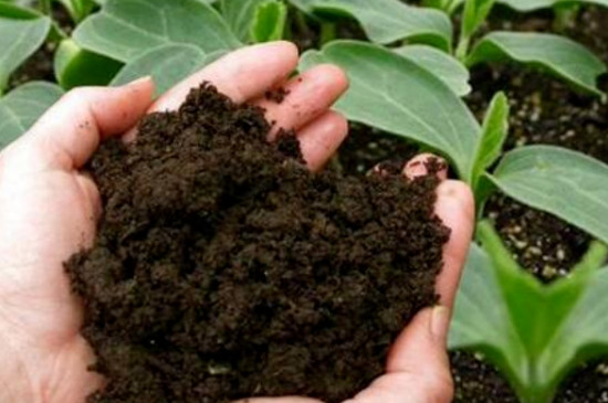 29种制作肥料的方法