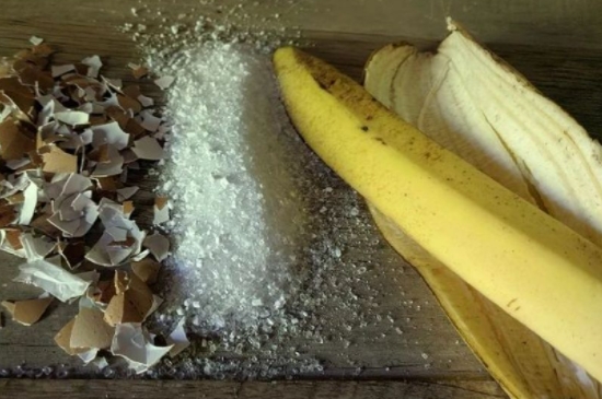 香蕉皮怎么做肥料养花肥料