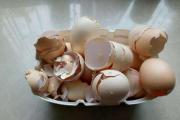 坏鸡蛋能直接浇花里吗，坏鸡蛋做花肥的方法(3种)