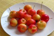 海棠果和苹果的区别，6种区别分辨两者