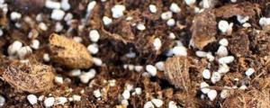 花生壳不发酵可以直接养花吗