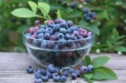 蓝莓的皮可以吃吗，清洗干净之后可以吃还能改善视力