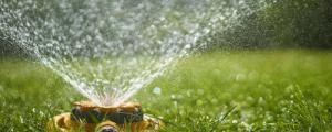 草坪夏天一周浇水几次