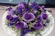 16朵紫玫瑰的寓意，表示多变不安/我只爱你与祝你顺利