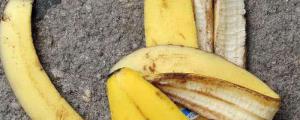 香蕉皮发酵多久能浇花