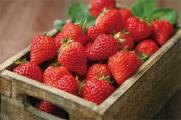 孕妇可以吃草莓吗，适量食用对胎儿生长有利