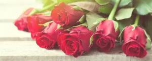不同颜色玫瑰花的含义和代表什么