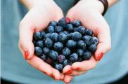 蓝莓一天吃多少为宜，一般吃6～10颗/最多不超过20颗