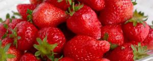 草莓有多少个品种