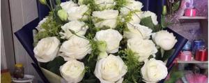 19朵白玫瑰花语是什么