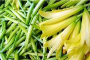 黃花菜有毒嗎，有毒但煮熟後可以吃