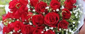 30朵紅玫瑰代表什麼意思