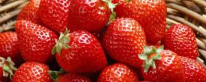 12月的草莓能吃吗