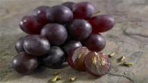 葡萄籽可以种植吗