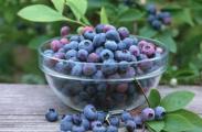 蓝莓怎么洗才干净，四种方法教你如何清洗蓝莓