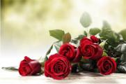 21朵红玫瑰的花语，真诚的爱与你是我爱的唯一