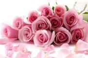 18朵玫瑰代表什么意思，代表真诚与坦白的爱