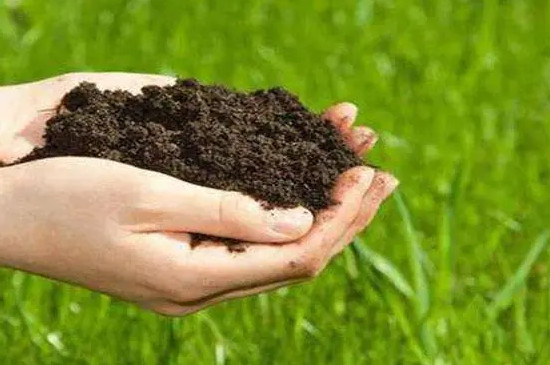 土壤中供植物生长的肥料是什么